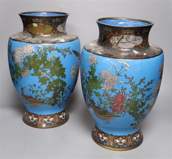 A pair of Japanese Meiji period blue ground cloisonne vases, on hardwood stands, 32cm